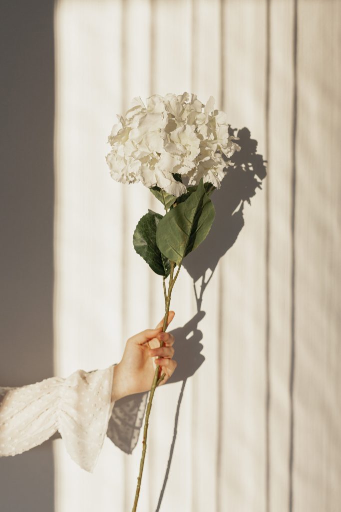 hand holding natural flowers 1 scaled